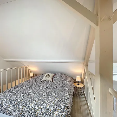 Les Bords De Vienne - Place Dupleix Châtellerault