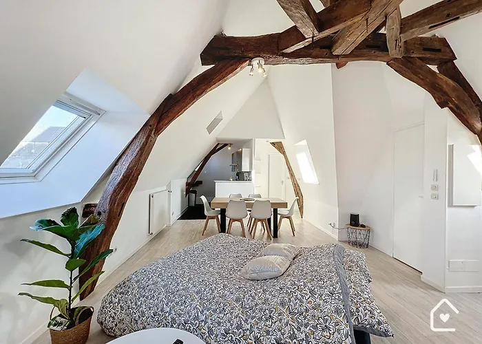 Les Bords De Vienne - Place Dupleix Châtellerault