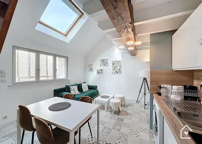 Les Bords De Vienne - Place Dupleix Châtellerault