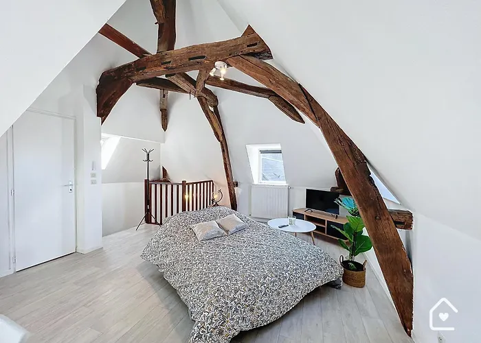 Les Bords De Vienne - Place Dupleix Châtellerault