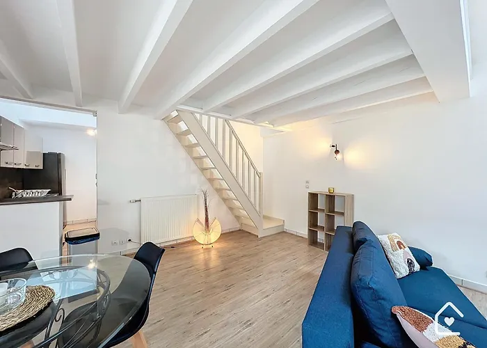 Les Bords De Vienne - Place Dupleix * Châtellerault