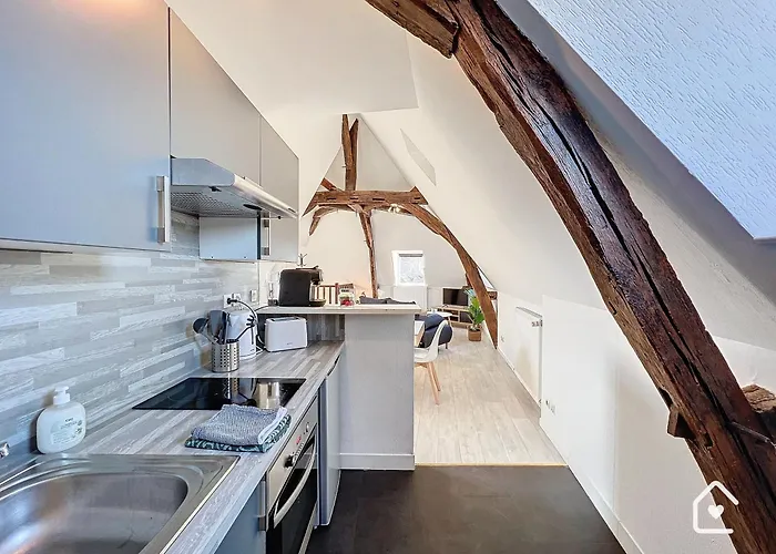 Les Bords De Vienne - Place Dupleix * Châtellerault