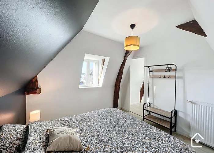 Apartamento Les Bords De Vienne - Place Dupleix