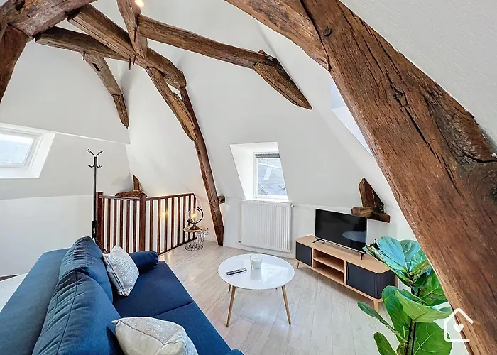 Les Bords De Vienne - Place Dupleix Apartamento Châtellerault