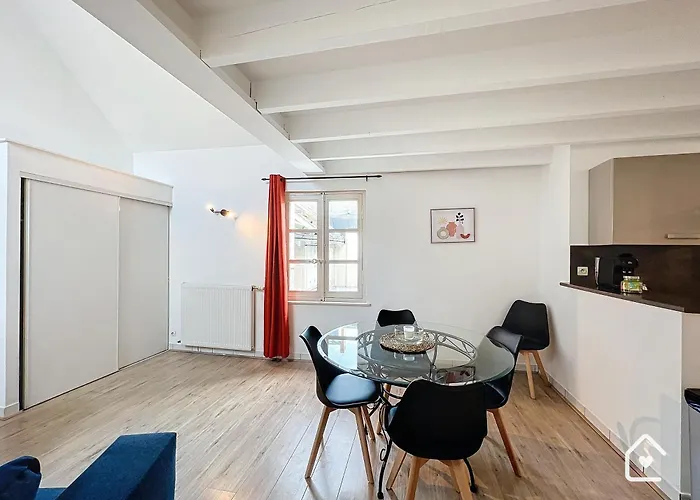 Les Bords De Vienne - Place Dupleix Apartamento *